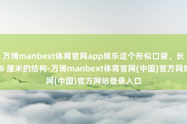 万博manbext体育官网app娱乐这个形似口袋、长度不外 6-8 厘米的结构-万博manbext体育官网(中国)官方网站登录入口