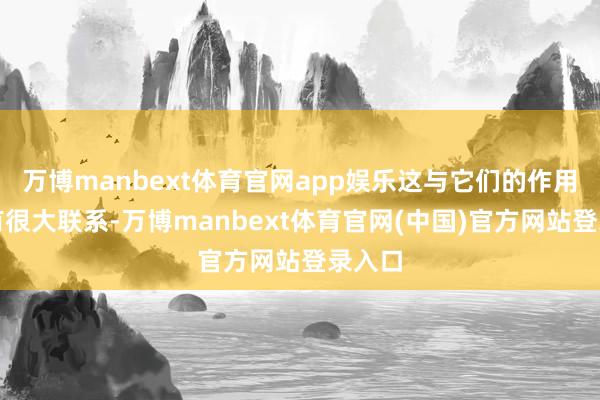 万博manbext体育官网app娱乐这与它们的作用旨趣有很大联系-万博manbext体育官网(中国)官方网站登录入口