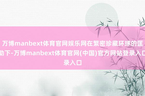 万博manbext体育官网娱乐网在繁密珍藏环球的匡助下-万博manbext体育官网(中国)官方网站登录入口