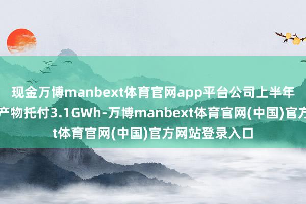 现金万博manbext体育官网app平台公司上半年杀青储能系统产物托付3.1GWh-万博manbext体育官网(中国)官方网站登录入口